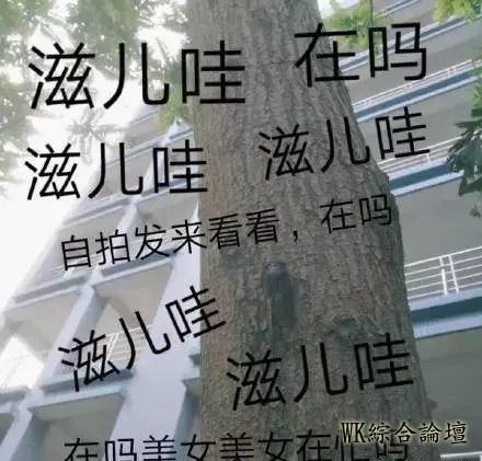 丑的人撩妹需要套路,帅的人只需要套!-23.jpg